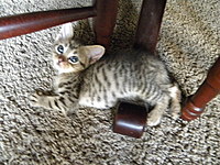 Dscn3492_thumb