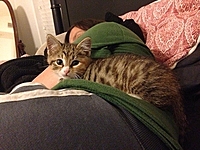 Lily_thumb