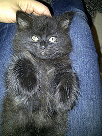 Willa5_thumb