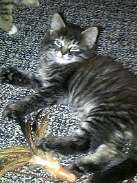 Jennings2_thumb