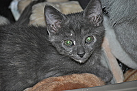 Dsc_0060_thumb