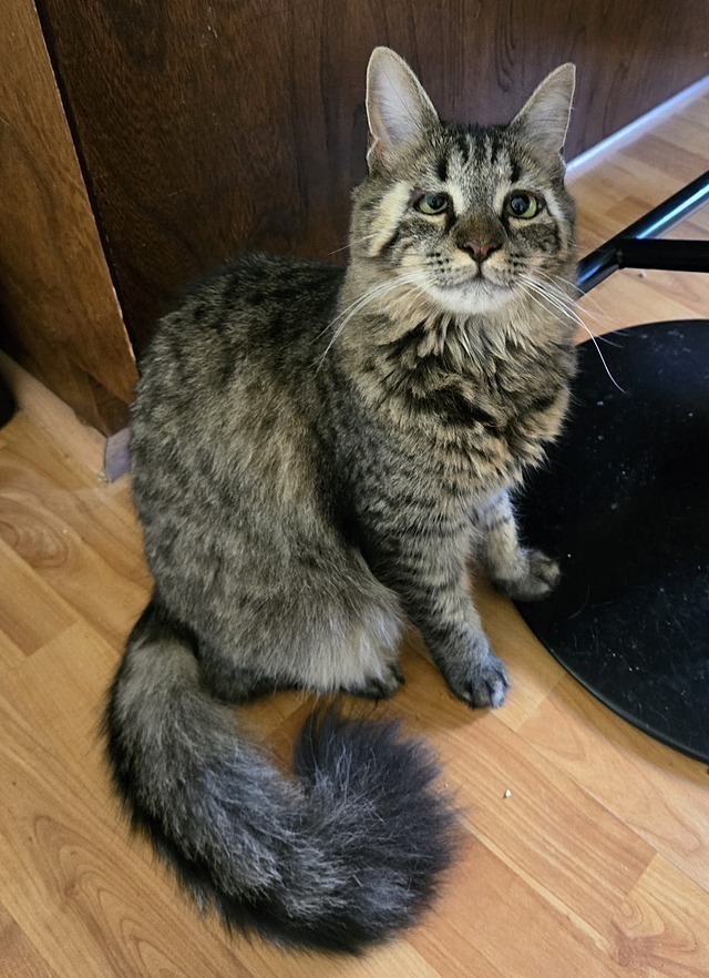 Kiki