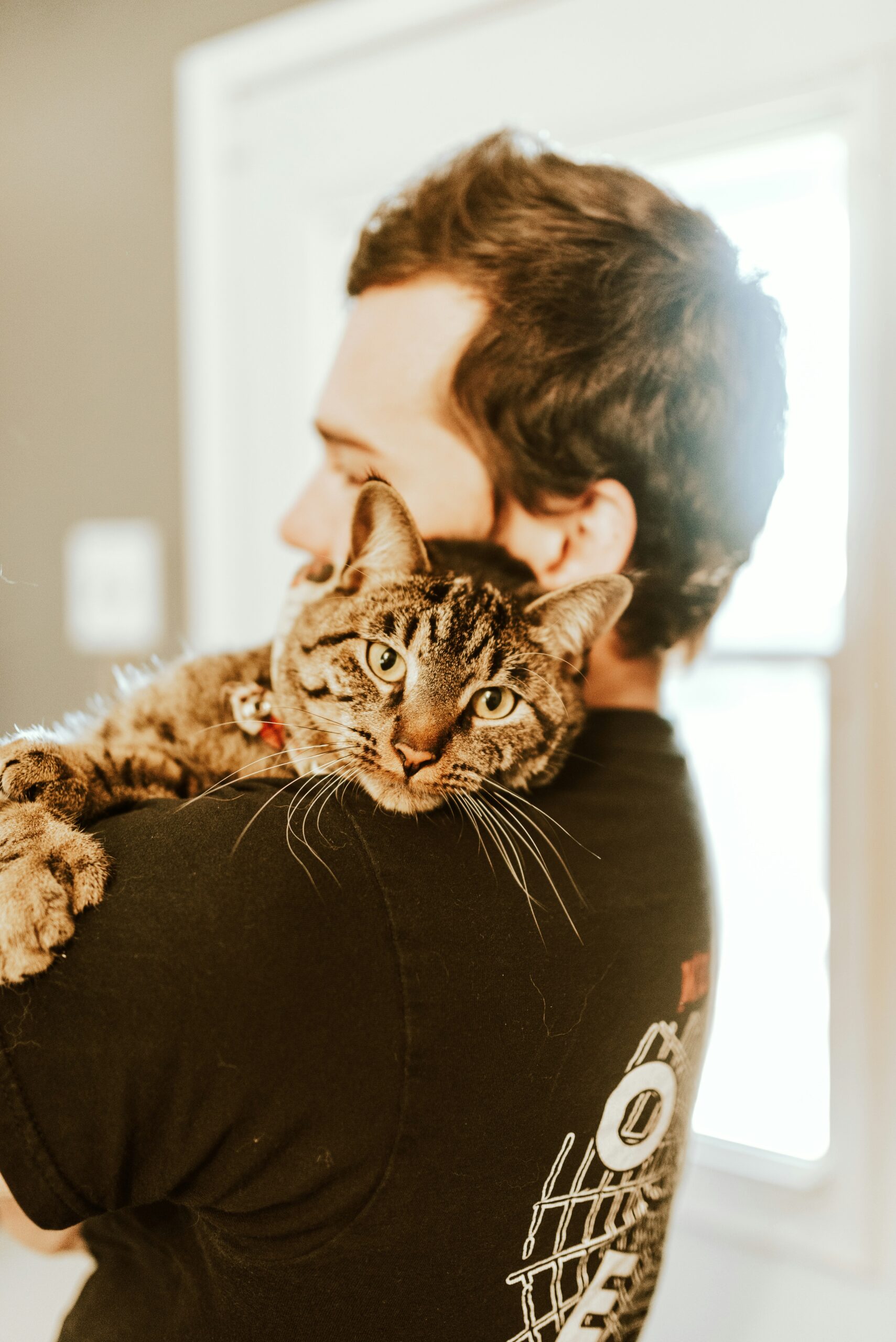 Photo by <a href="https://unsplash.com/@galibagi?utm_source=unsplash&utm_medium=referral&utm_content=creditCopyText">GALINA BOGDANOVA</a> on <a href="https://unsplash.com/photos/a-small-kitten-rests-on-a-persons-shoulder-jfq2EwqYxLs?utm_source=unsplash&utm_medium=referral&utm_content=creditCopyText">Unsplash</a>
      