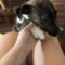 Roxy