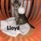 Lloyd