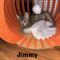 Jimmy