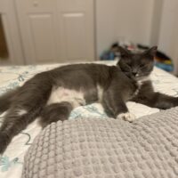 Mama Luna