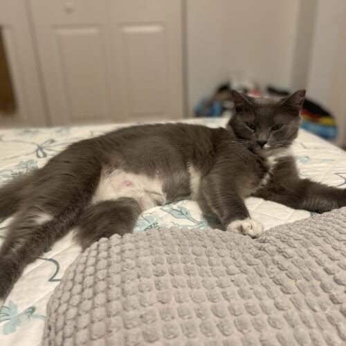 Mama Luna