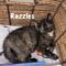 Razzles