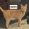 Benny