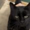 Salem