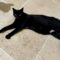Tina Purrner