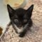 Igor