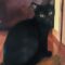 IZZY