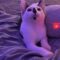 Scully