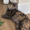 Lily
